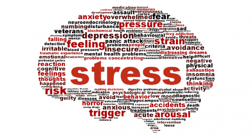 Stress, relazioni e salute (3° parte)