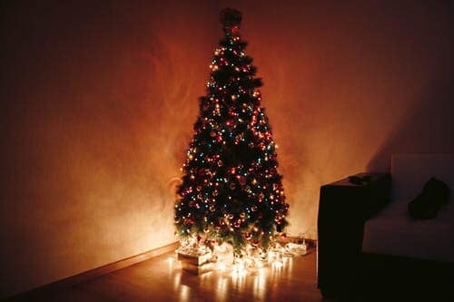 L’albero di Natale. Ancora metafora della nostra esistenza